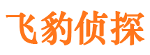 西安市私家侦探